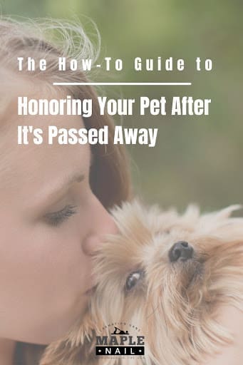 text on image reads: The How-To Guide to Honoring Your Pet After It's Passed Away